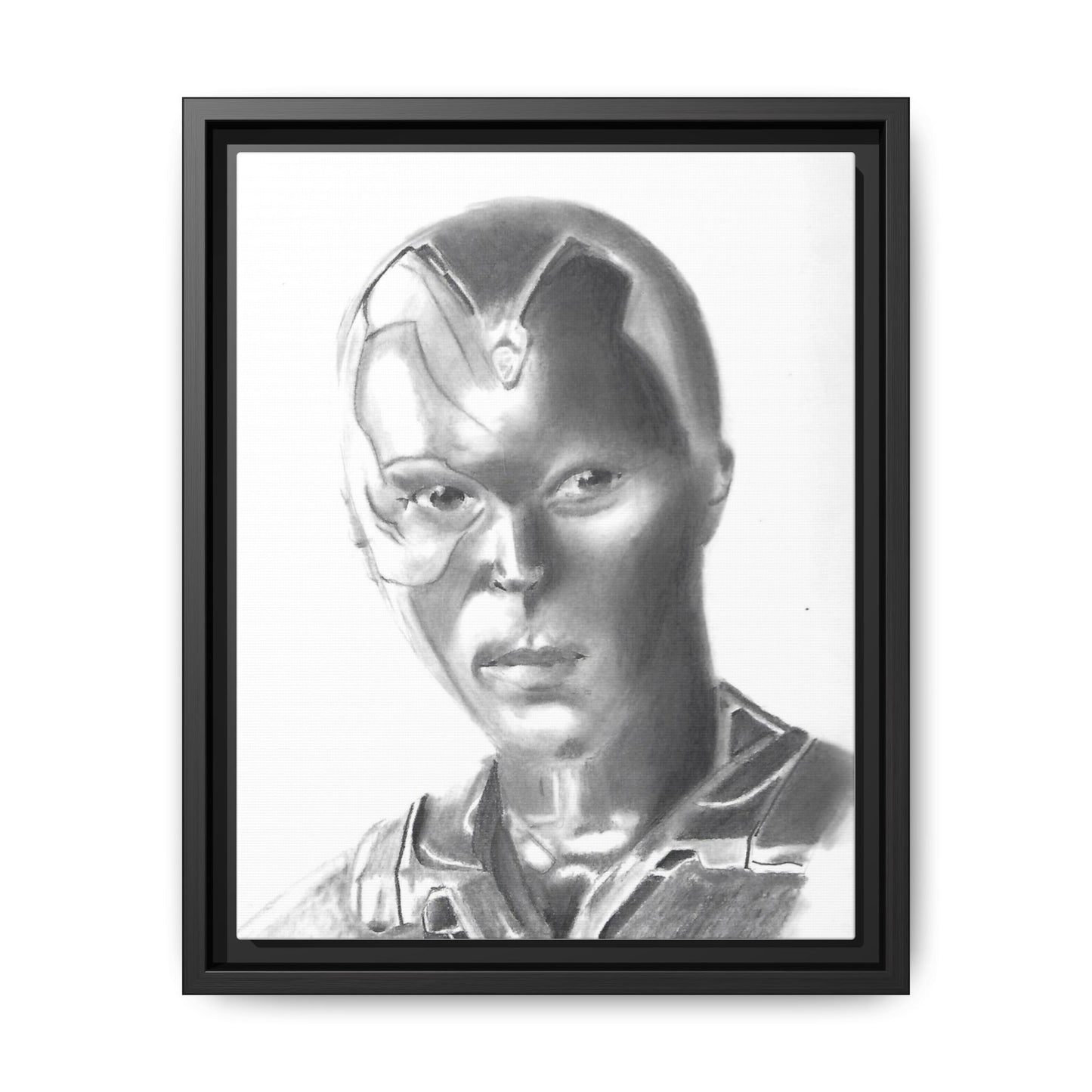 Vision Framed Canvas