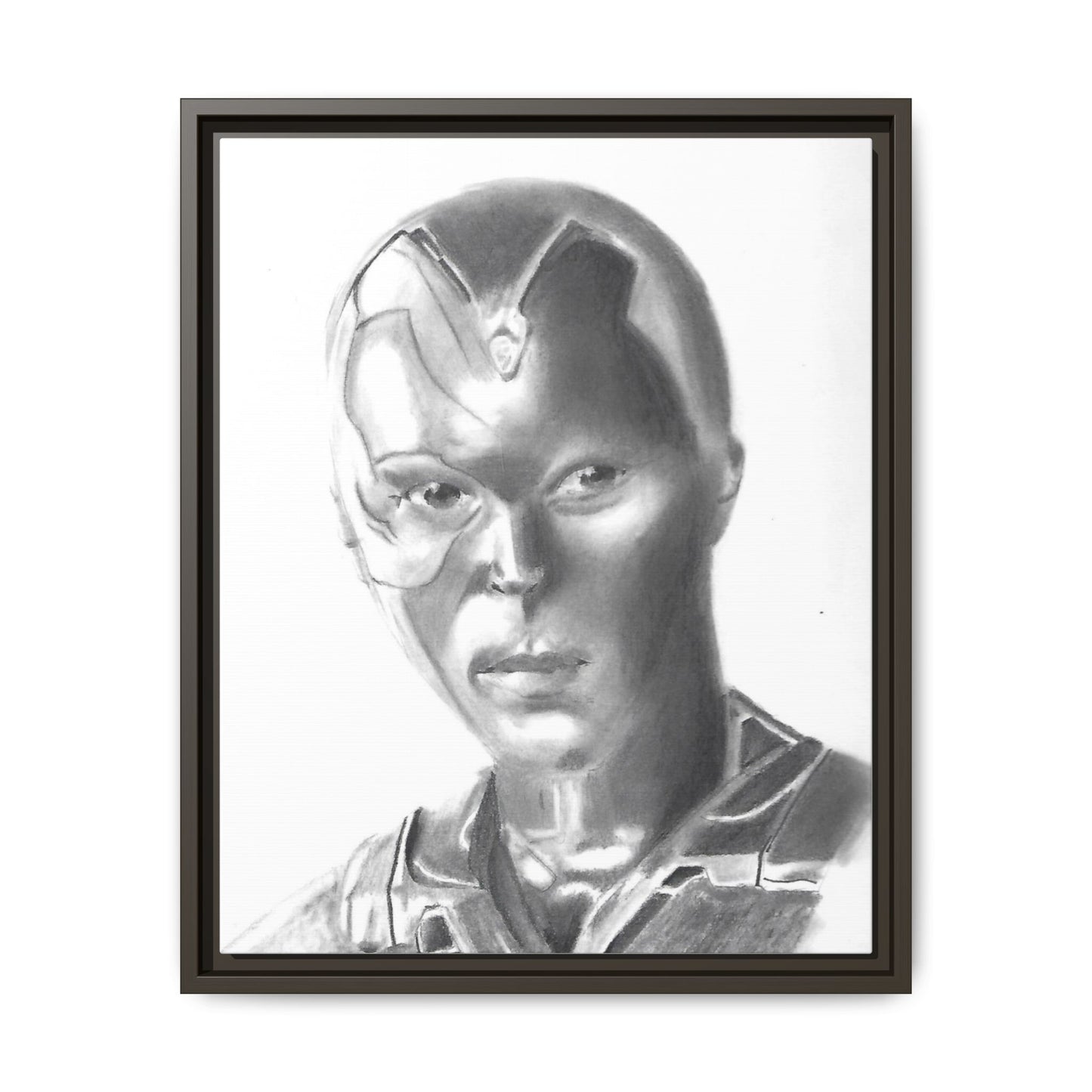 Vision Framed Canvas