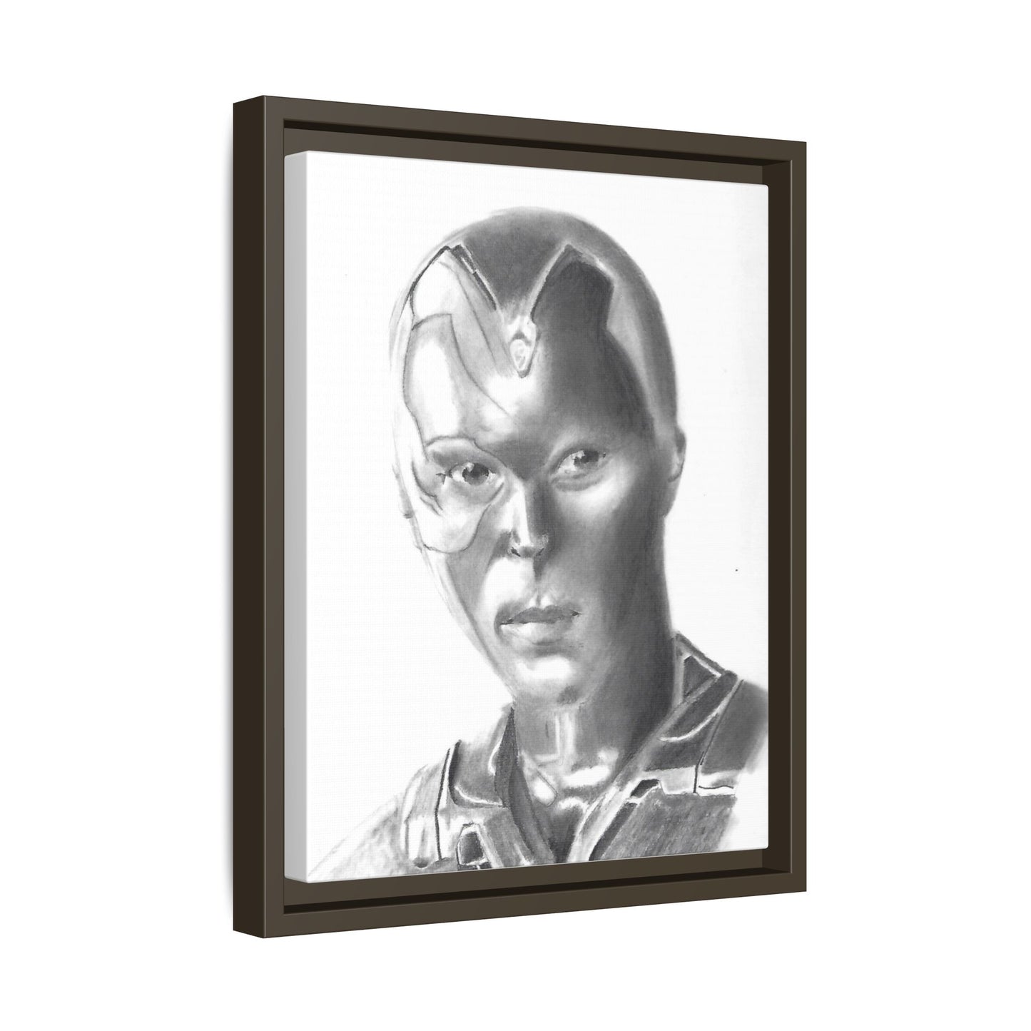 Vision Framed Canvas
