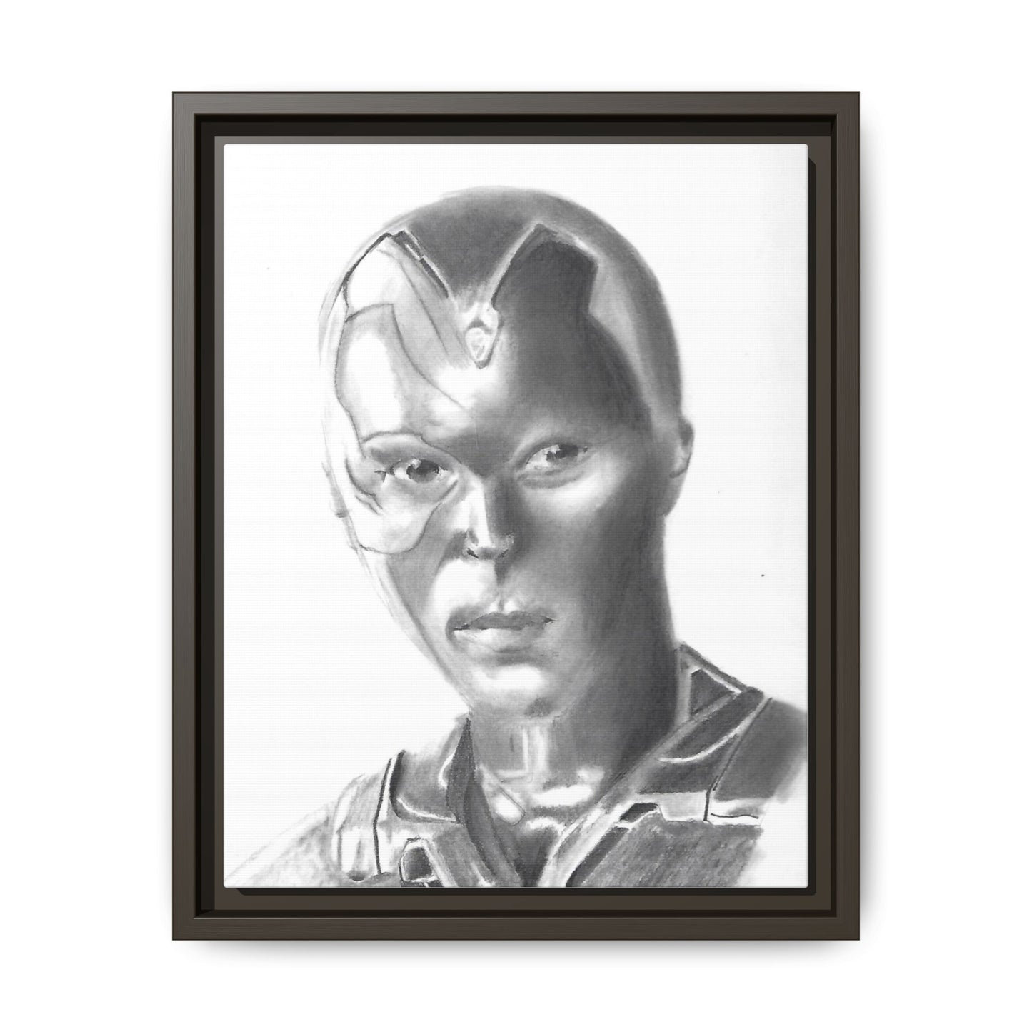 Vision Framed Canvas