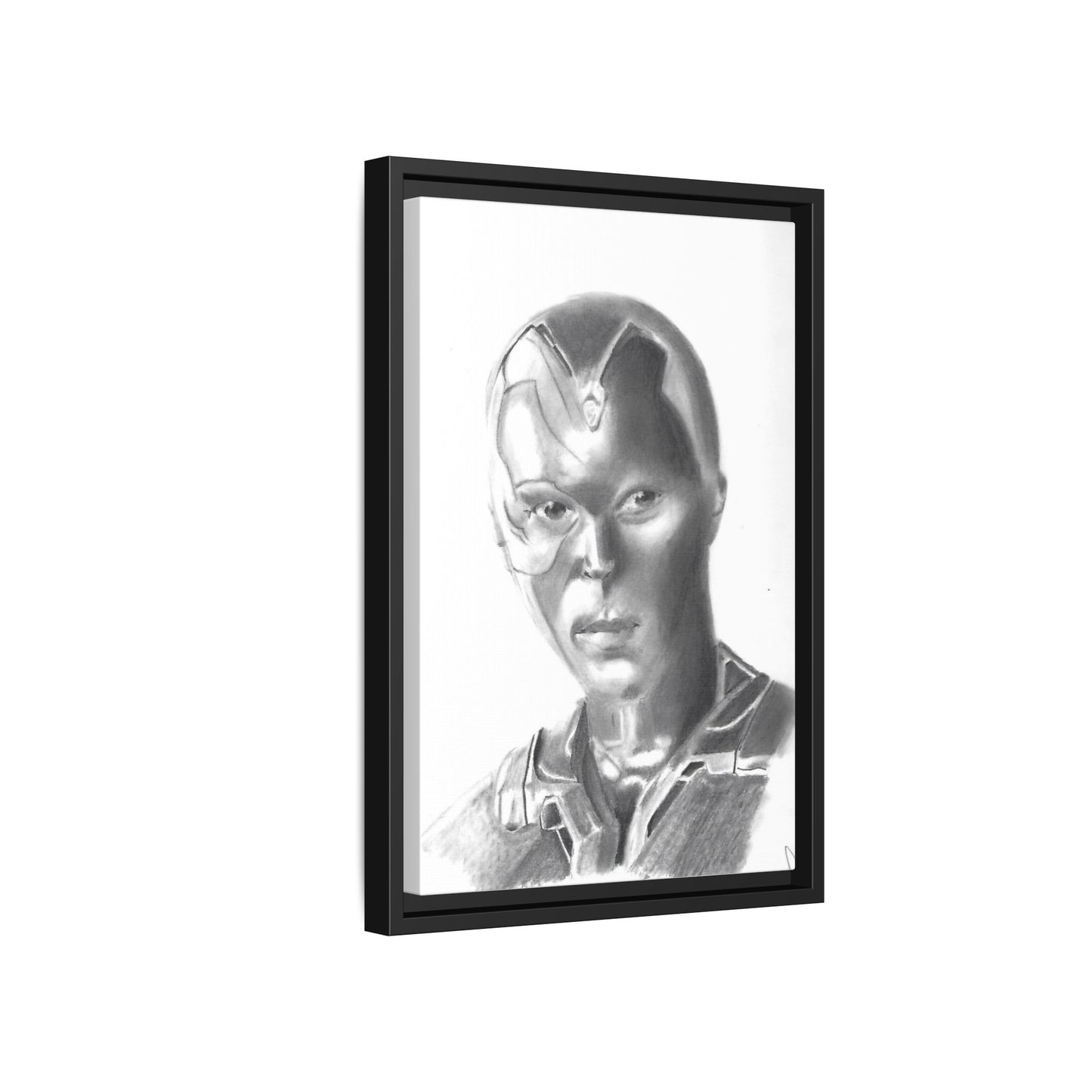 Vision Framed Canvas