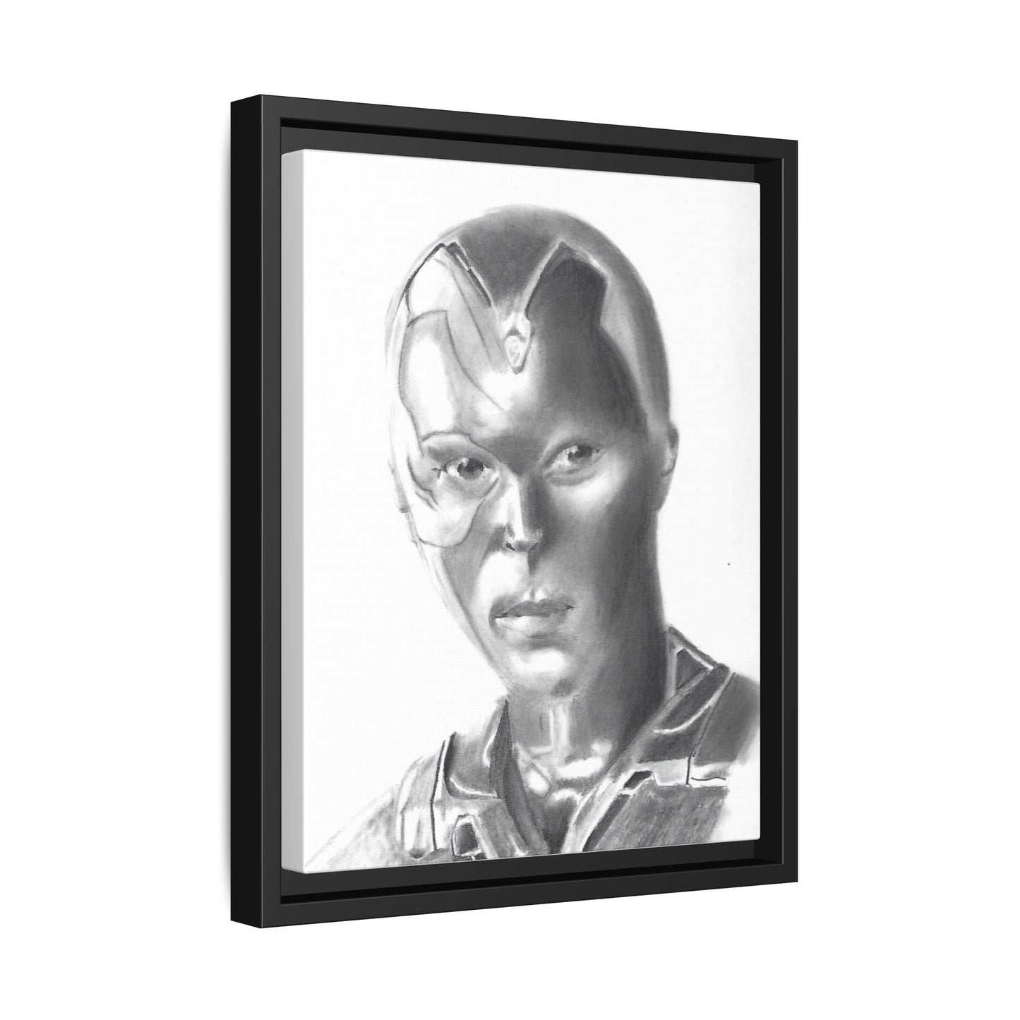 Vision Framed Canvas