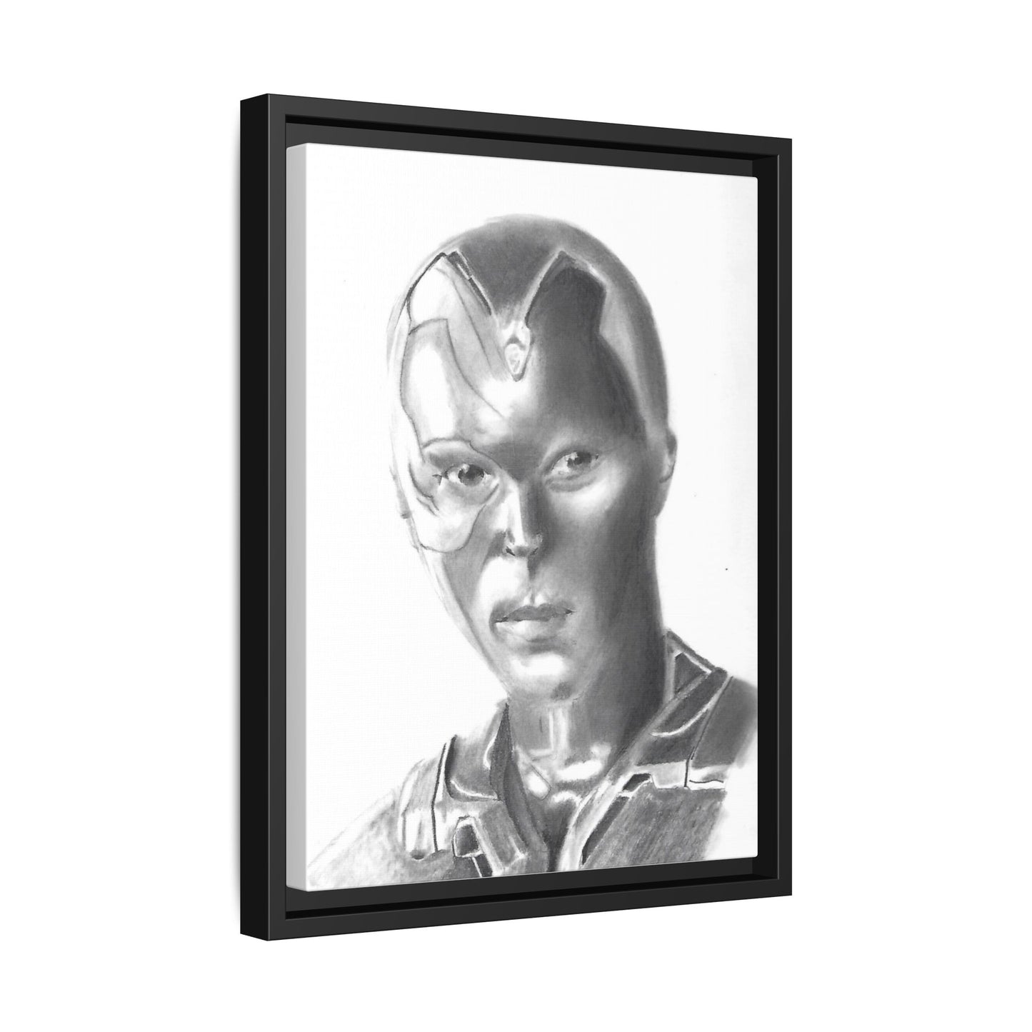 Vision Framed Canvas