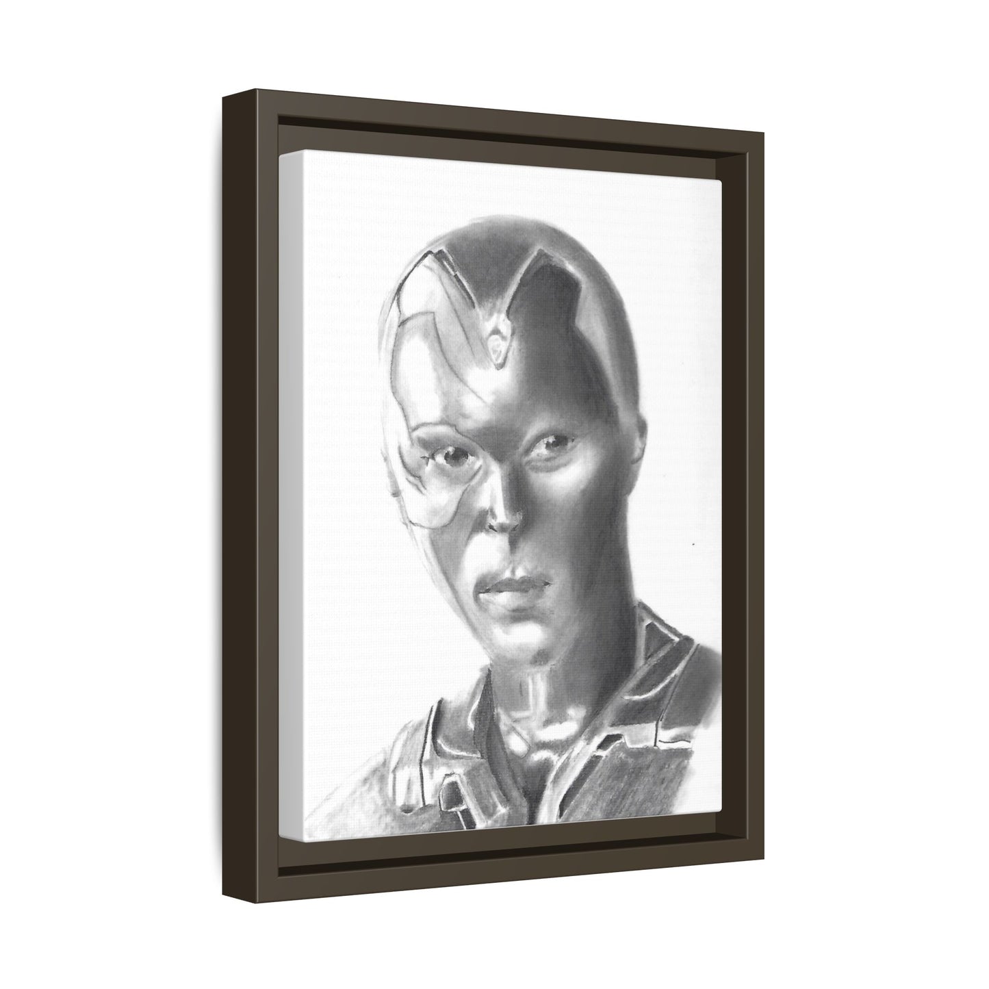 Vision Framed Canvas