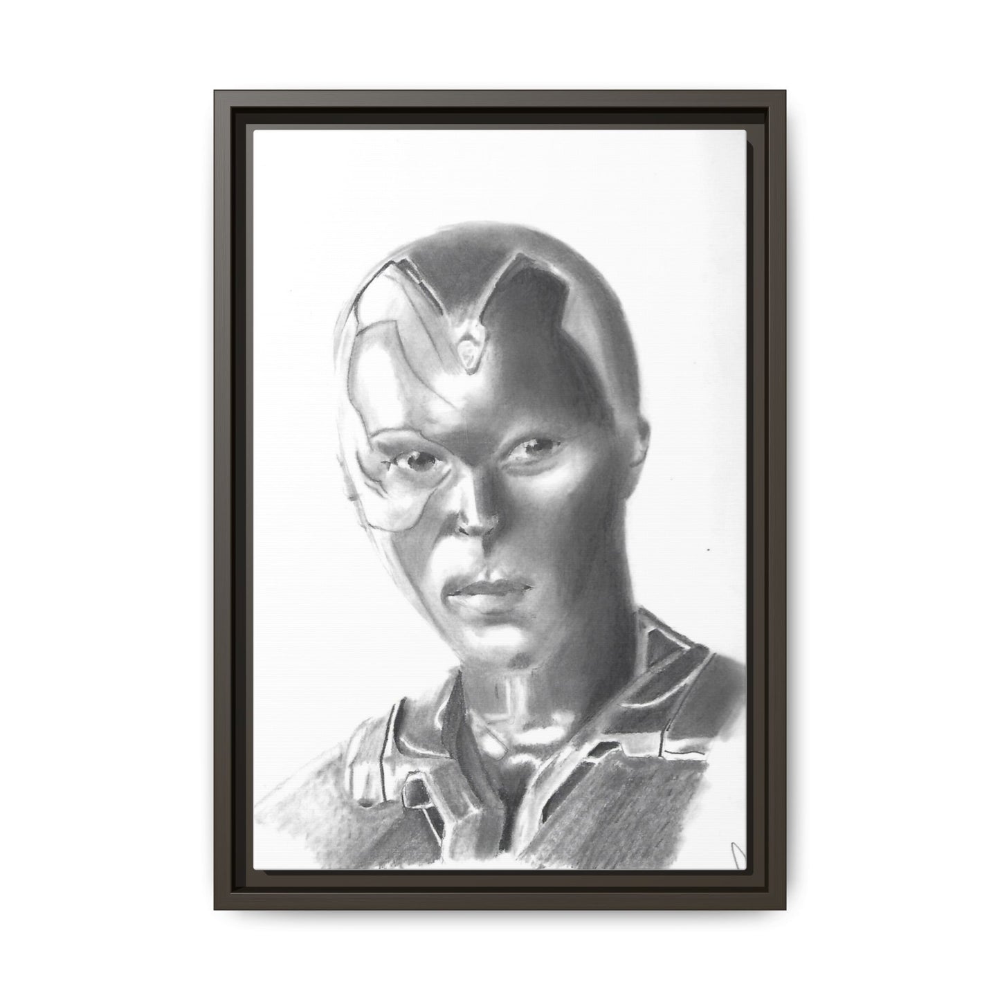 Vision Framed Canvas