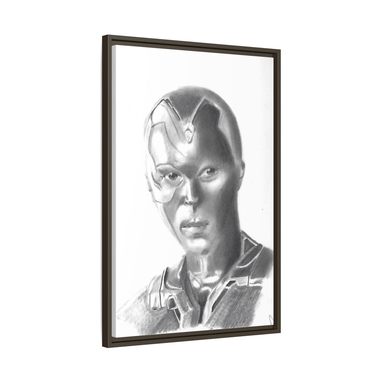 Vision Framed Canvas