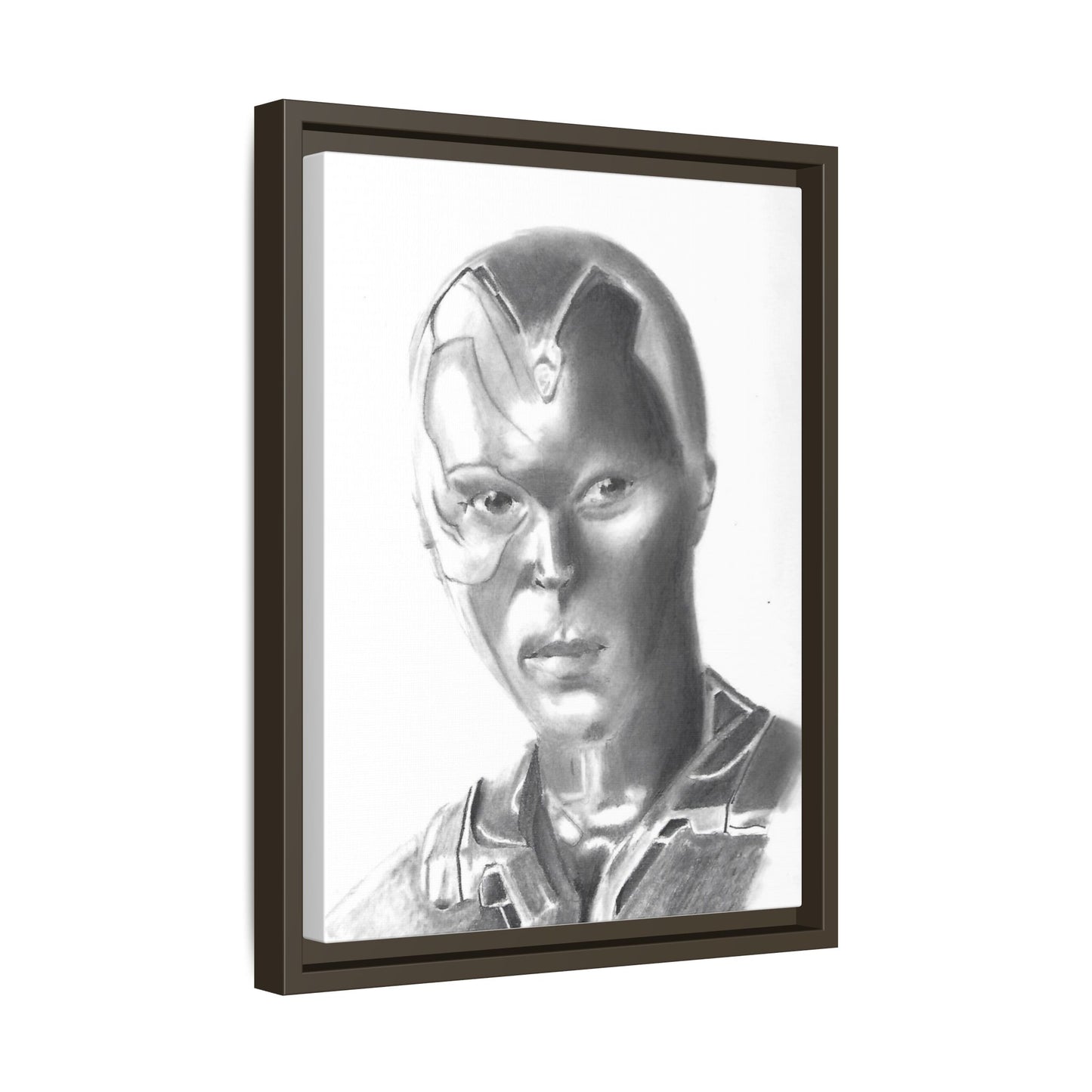 Vision Framed Canvas