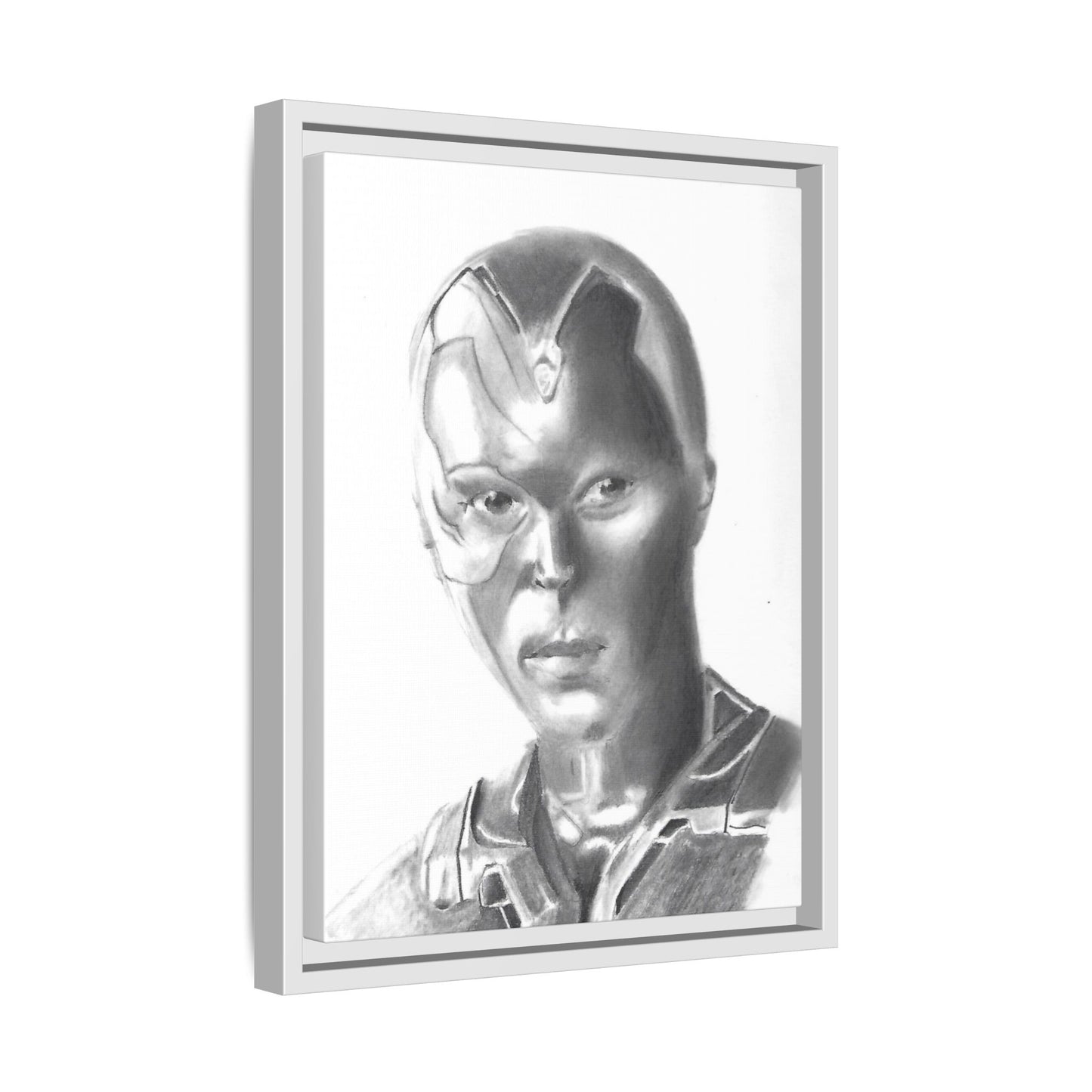 Vision Framed Canvas