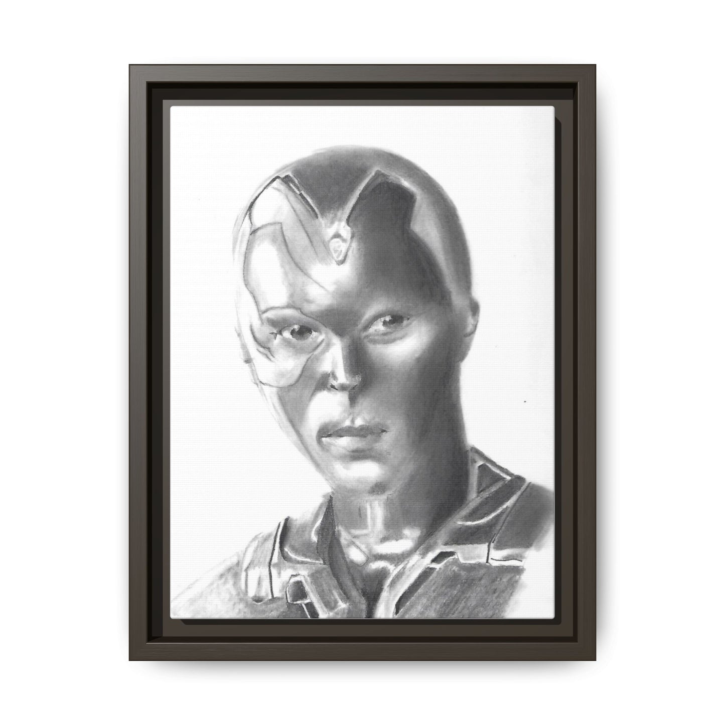 Vision Framed Canvas