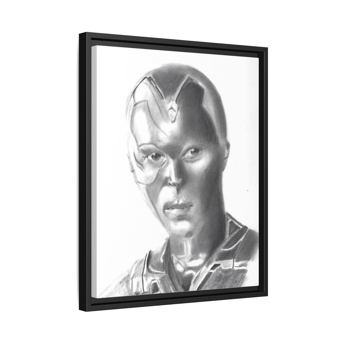 Vision Framed Canvas