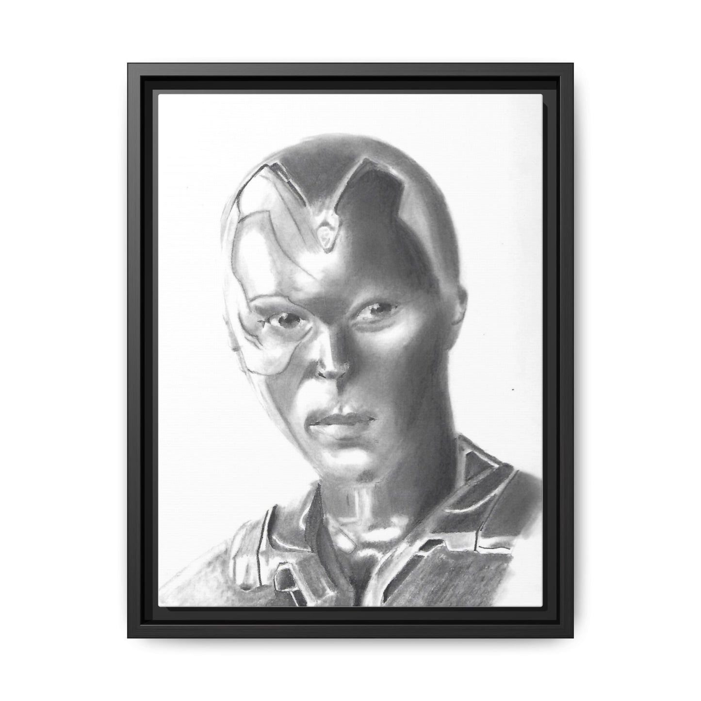 Vision Framed Canvas