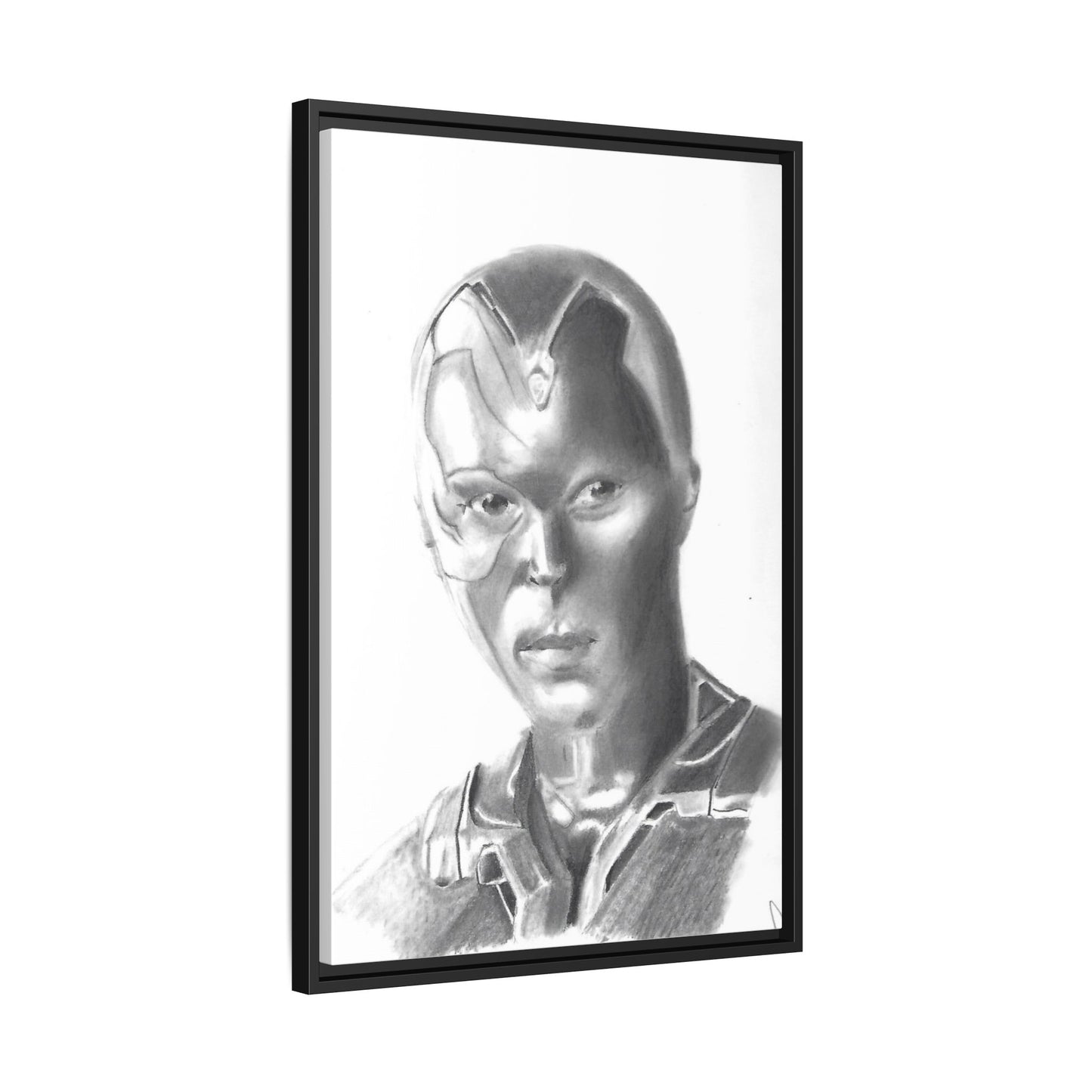 Vision Framed Canvas