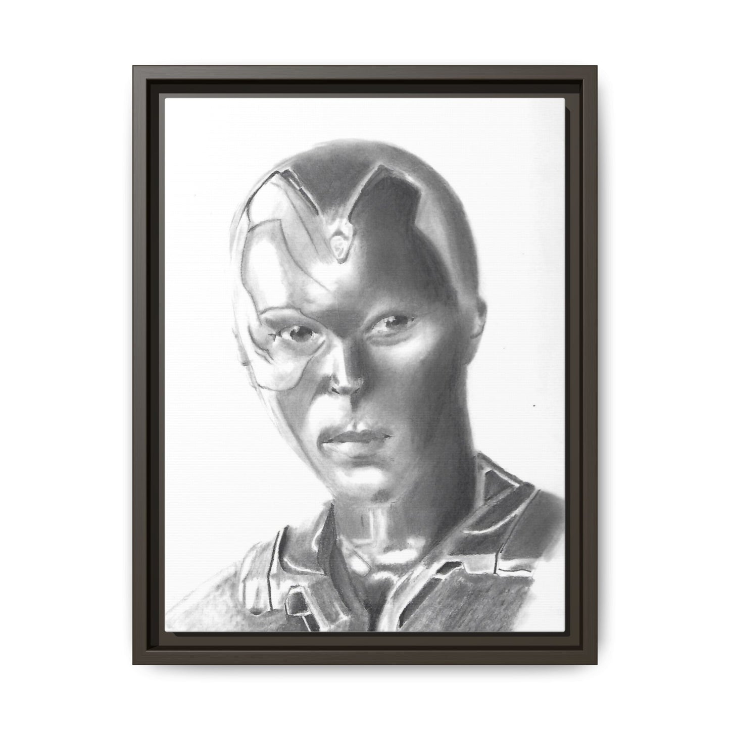 Vision Framed Canvas