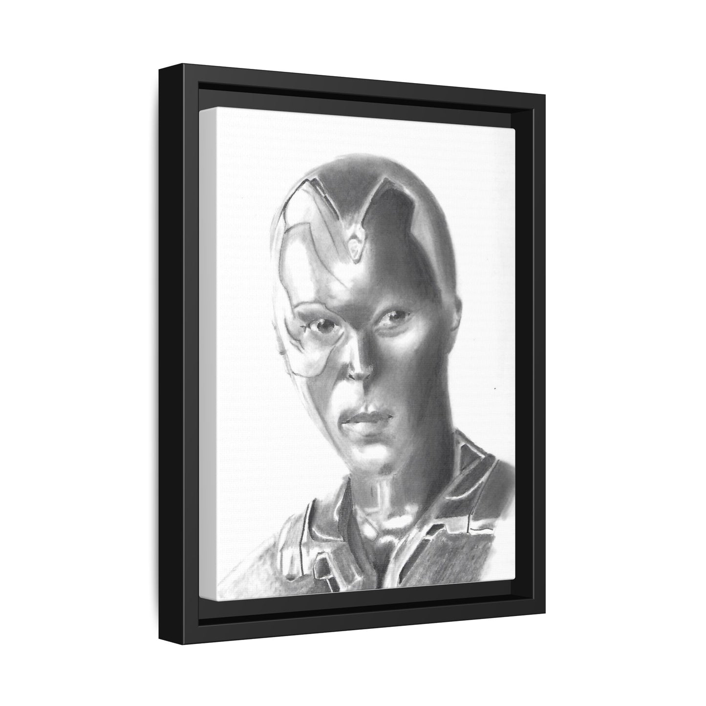 Vision Framed Canvas