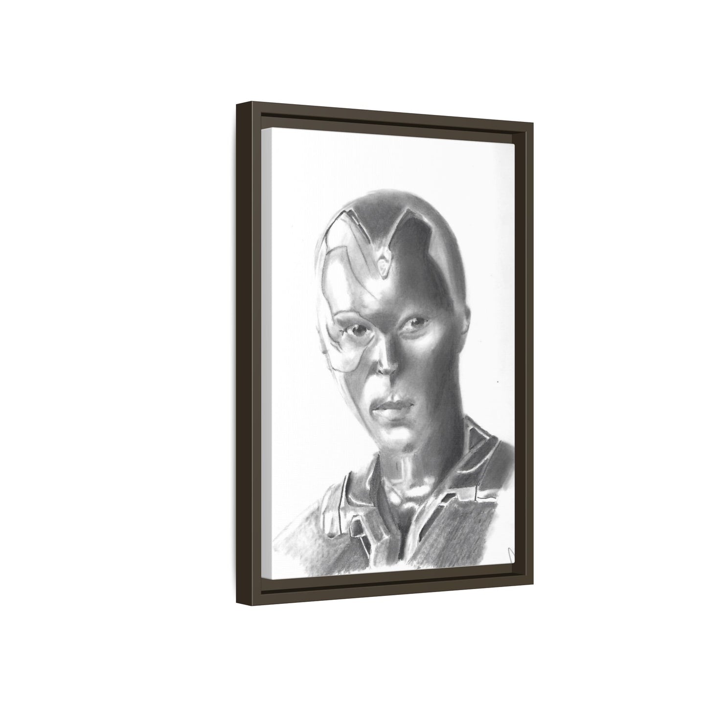 Vision Framed Canvas